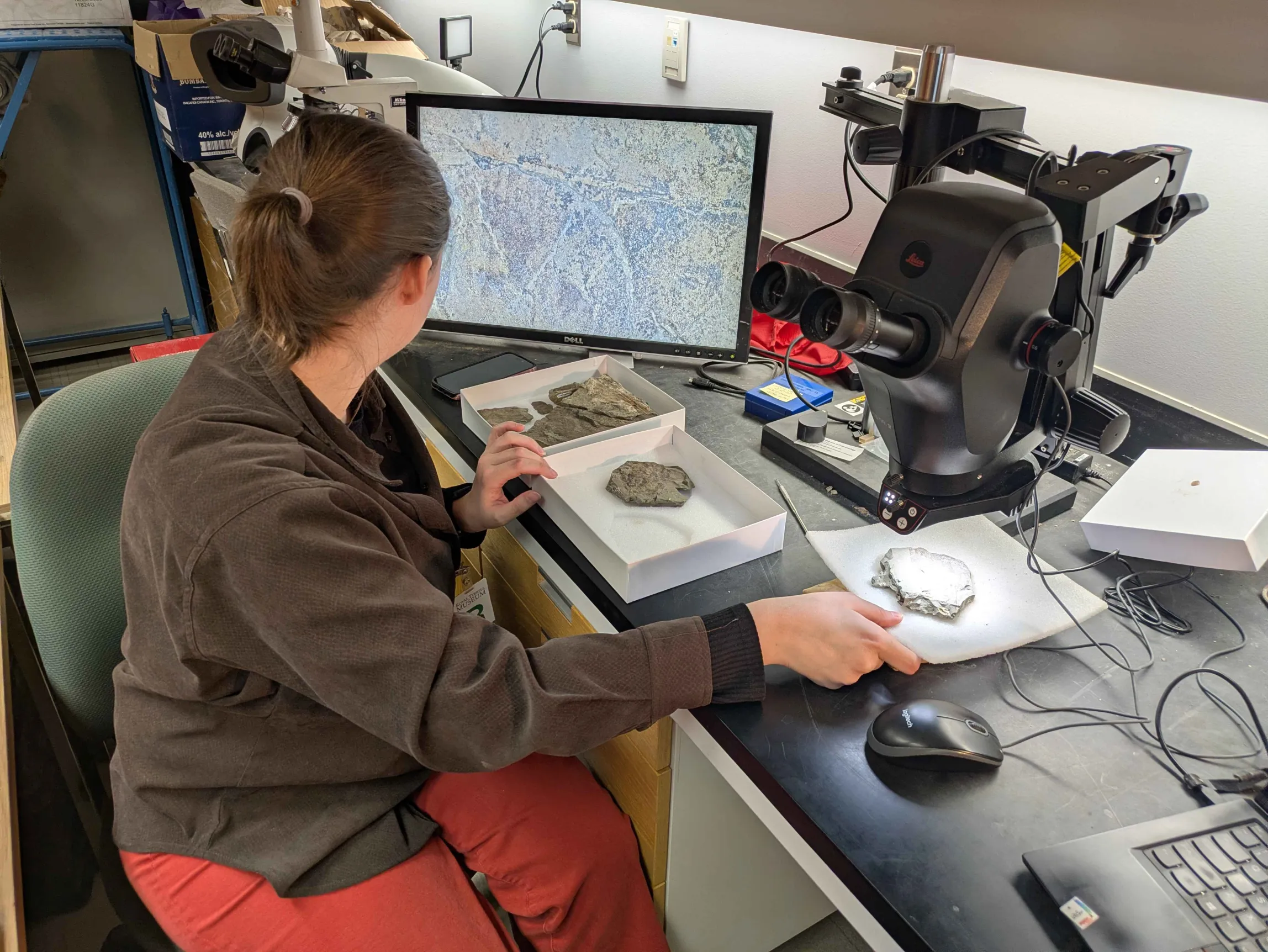 COSSEE workspace photo 4