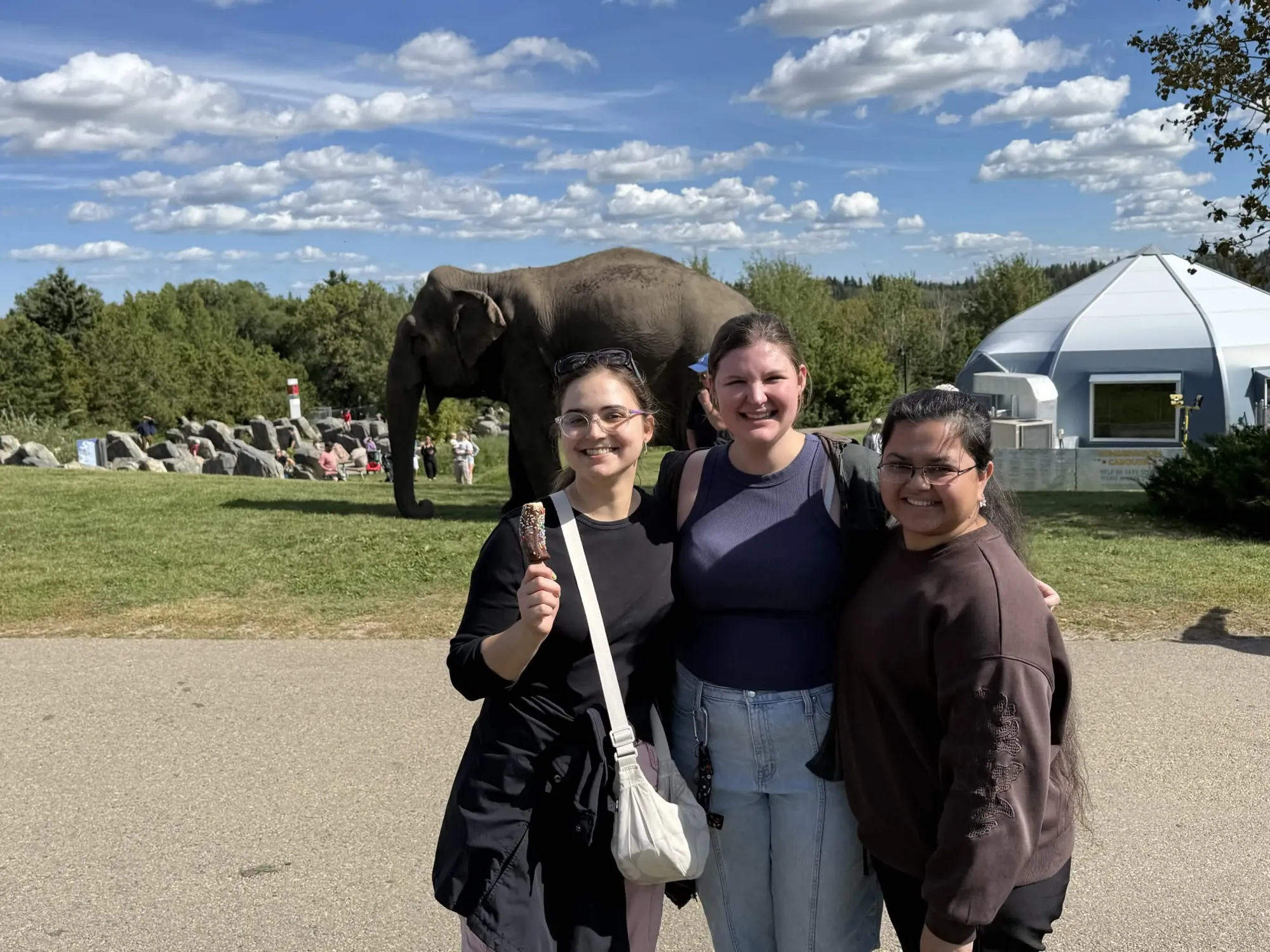 COSSEE members at the Edmonton Valley Zoo, with an elephant behind them